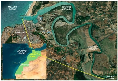 Geographic location of the Loukkos Estuary situated along the northern Atlantic coast of Morocco. The map was produced with QGIS version 3.40.1.