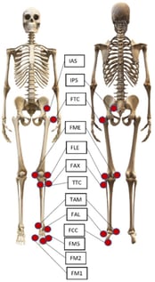 Locations of reflective markers on the participants. Only left side markers have been illustrated for the lower limbs. The anatomical description and full name of each marker are given in Appendix A.