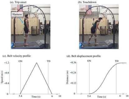 Still images illustrate two key moments during recovery from a trip perturbation-induced forward balance loss on the ActiveStep treadmill: (a) perturbation onset (ON) and (b) recovery step touchdown (TD). Participants wore safety harnesses attached to an overhead arch for protection. The ON is defined as the moment when the belt marker’s anteroposterior position drops by three standard deviations below the baseline average, indicating the initiation of the perturbation. The TD is identified when the heel of the recovery leg first recontacts the treadmill belt. Also shown are the profiles of treadmill belt (c) velocity and (d) displacement during the standardized trip-like perturbation. The perturbation is generated by rapidly moving the belt backward over 0.6 s, reaching a peak posterior velocity of 1.2 m/s backward and a total displacement of 0.36 m. During the first 0.3 s, the belt accelerates at 4 m/s2, followed by deceleration at the same rate for the remaining 0.3 s. Each standing-perturbation trial lasts approximately 10 s, with the perturbation occurring in the middle of the trial at a random time point. Vertical lines in (c,d) indicate the timing of ON and TD.