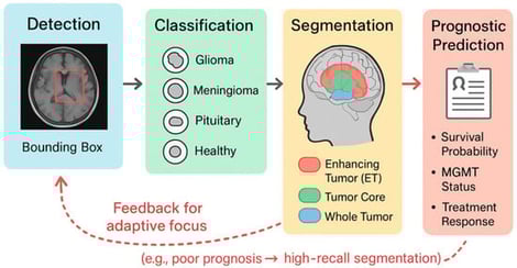 Unified diagnostic–prognostic conceptual framework for brain tumor AI. Conceptual illustration of a clinically oriented AI workflow encompassing tumor classification, segmentation (ET, tumor core, whole tumor), and prognostic prediction (e.g., survival, MGMT status). A bounding-box localization links detection to downstream analysis, while a feedback mechanism indicates how diagnostic or prognostic outputs may guide adaptive focus in subsequent processing.