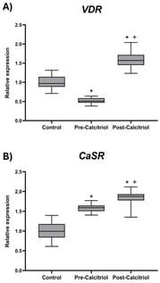 Expression levels of VDR (A) and CaSR (B) coding genes. Total RNA was isolated from PBMCs derived from the women included in the study. The mRNA levels of the VDR and CaSR genes were quantified in each of the RNA samples obtained from the control group (n = 20, young women) and the group of elderly women (n = 22) before (Pre-calcitriol) and after (Post-calcitriol) treatment with calcitriol. The graphs show the relative expression of each gene for each of the study groups. * p < 0.05 vs. Control; + p < 0.05 vs. Pre-calcitriol. The notches in each group indicate a 95% confidence interval (CI).