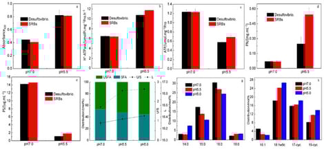 The physiological responses of microorganisms in Des. and SRB systems under different pH conditions (n = 3, mean ± SD; different letters indicate significant differences at p < 0.05). (a) Cell membrane permeability; (b) H+-ATPase activity; (c) Intracellular ATP concentration; (d) The content of intracellular protein; (e) The content of capsular polysaccharide; (f) The unsaturation degree and carbon chain lengths of the cell membrane in SRB system; (g) The distribution of saturated fatty acids in SRB system; (h) The distribution of unsaturated fatty acids in SRB system.