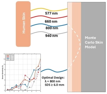 Schematic of the Multi-Layered Skin Phantom and Optode Geometry. The 2D cross-section illustrates the three–layer skin model, including the epidermis (0.1 mm), dermis (1.5 mm), and subcutaneous fat (8.4 mm). The vertical axis is visually enhanced to clearly depict the thin superficial layers and is not to scale, as indicated by the dimension lines showing true physical thicknesses. The simulation geometry includes a single pencil–beam source and a linear array of 16 detectors on the surface, spanning source-detector separations (SDS) from 0.5 mm to 8.0 mm. Illustrative photon paths (dashed lines) show that light detected at longer SDS has, on average, interrogated deeper tissue volumes.