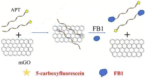 Schematic diagram represents the working principle of the developed aptasensor.