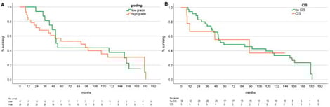 (A) Kaplan–Meier overall survival compared between patients with low- vs. high-grade UTUC. Median overall survival for low-grade patients was 52.1 months (95% CI 46.3–57.9), and 87.90 months (95% CI 22.2–153.7) for patients with high-grade UTUC; p = n.s.; (B) Kaplan–Meier overall survival comparing patients with/without CIS present or not. Median overall survival for patients without was 59.03 months (95% CI 5.6–112.5) and 94.3 months (95% CI 0.0–189.1) for patients with CIS; p = n.s.