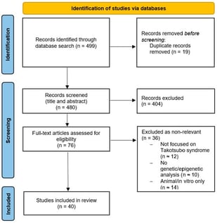 Article selection flowchart according to PRISMA statements.