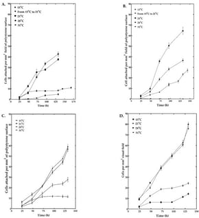 Growth of M. disstria hemocyte cell lines UA-Md221 (A), UA-Md203 (B), Md108 (C), and Md66 (D) on polystyrene surfaces at selected temperatures (n = 3 flasks, 25 random fields examined in each flask).