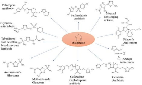 Representative medicinal scaffolds featuring the thiadiazole ring system.