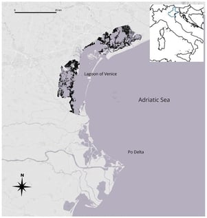 Map of the study area, with the location of the Lagoon of Venice and the Po Delta highlighted.