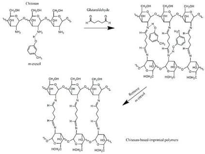 Schematic illustration of the steps for the synthesis of chitosan-based imprinted polymers.