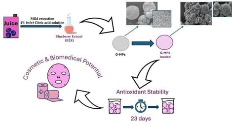 Loading of the extract into G–MPs via absorption: (a) G–MPs; (b) BEX; (c) absorption step; (d) dried G–MPs–BEX. Images were acquired as macroscopic photographs using a digital camera and are intended for qualitative visualization of the loading process.