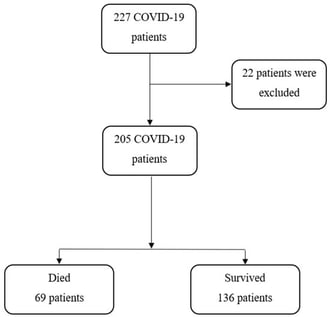 Flow chart of patients included in the study.