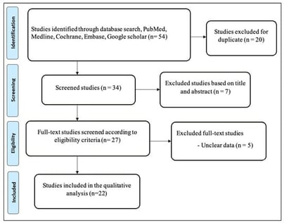 PRISMA flow diagram.