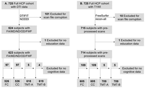 Flowchart of inclusion of subjects with DTI (A) or T1-weighted (B) images with corresponding cognitive data. CC: crystallized cognition; DTI: diffusion tensor images; FA: Fractional Anisotropy; FC: fluid cognition; FWF: free water fraction; HCP: Human Connectome Project; MD: Mean Diffusivity; ND: neurite density index; NODDI: Neurite Orientation Dispersion and Density Imaging; OD: orientation dispersion index; TMT: Trail Making Test.