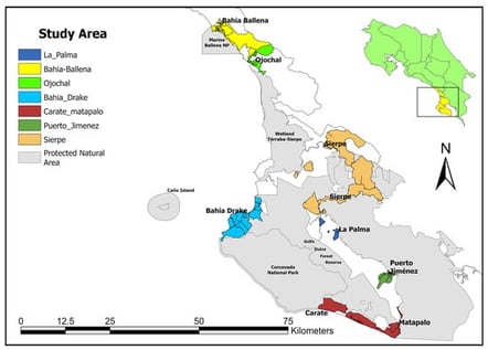 Study area. Bahía Ballena, Ojochal, Sierpe, and Bahía Drake belong to the municipality of Osa. Tourism activity in these locations is directly or indirectly linked to nearby protected natural areas, including Marino Ballena National Park, the Térraba–Sierpe National Wetland, Caño Island Biological Reserve, Golfo Dulce, and Corcovado National Park.