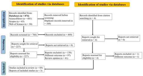 Preferred Reporting Items for Systematic Reviews and Meta-Analyses flow chart illustrating the process of selecting the studies included in this review.