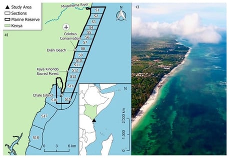 (a) Map of the Diani-Chale Marine National Reserve (DCMNR) showing the official reserve boundaries, Diani Airport and placenames and the sectioning scheme established for conducting standardized drone transects and estimating sighting rate; (b) Relative location of DCMNR in Kenya; (c) Aerial drone view of a section of DCNMR showing the lagoon and fringing reef at high tide.