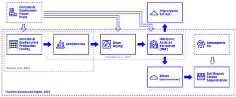 Process flow diagram: Flow chart illustrating the integrated process of Spirulina cultivation, phycocyanin extraction, and biostimulant application (highlighted by dashed boxes). Data is drawn from [17,18,19]. * The waste stream acts as a biostimulant when applied in a dilute water-based mixture, this process involves the use of agricultural drones.