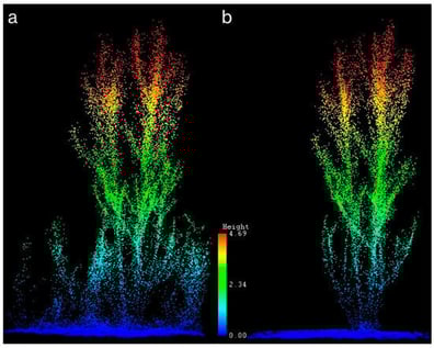 Mobile terrestrial LiDAR point cloud of an individual coppice stool with (a) understory herbaceous vegetation present and (b) understory herbaceous vegetation manually deleted from the point cloud. Color values and corresponding scale represent the height of the LiDAR points.