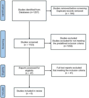 Prisma flow diagram.