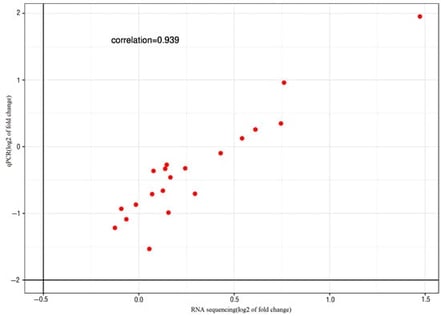 The Pearson correlation analysis of qRT-PCR results. The RNA sequencing data for the 20 selected DEGs among the samples are presented. Each point represents the fold change in expression level between the C1–C3 groups and the E1–E3 groups. Fold-change values were log10-transformed.