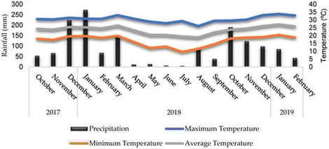 Monthly rainfall and temperature, Nova Odessa, state of São Paulo, Brazil, from October 2017 to February 2019.