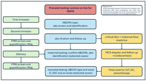 Prenatal testing for women at risk for HDFN and fetal anemia.