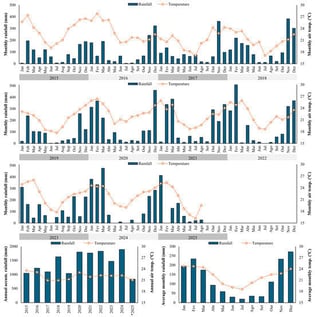 Accumulated monthly rainfall and monthly air temperature from January 2015 to August 2025 (above) and annual and monthly averages (below), as monitored in the field at transitional altitude (650 m), in Alegre, Espírito Santo state, Brazil. * from January to August 2025.
