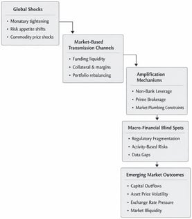 Macro-Financial Blind Spots and Global Shock Transmission in Emerging Markets. The figure illustrates the conceptual framework developed in this paper. Source: Authors’ elaboration.