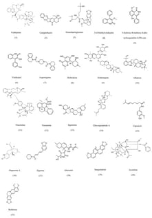 Examples of some of the alkaloids isolated from endophytic fungi.