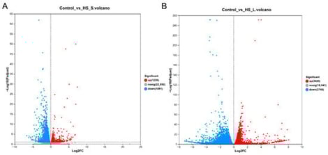 Differentially expressed genes (DEGs) exposed to 45 °C high temperature. (A) Volcano plot of 45 °C for 0.5 h vs. control (25 °C). (B) Volcano plot of 45 °C for 4 h vs. control (25 °C).
