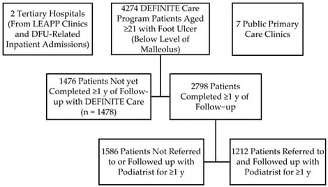Patient selection design. DEFINITE—Diabetic Foot in Primary and Tertiary; DFU—diabetic foot ulcer; LEAPP—Lower Extremity Amputation Prevention Program.