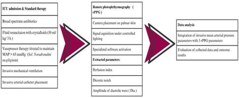Treatment and measurement protocols.