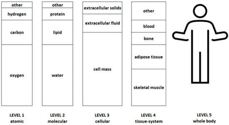 Five-level model of body composition, adapted from Wang et al. 1992 [6], not to scale.