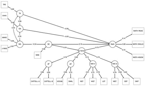Standardized solution of Model 5. MATH-REAS = Math Reasoning (Personalized Task); MATH-SKILLS = Math Skills (Personalized Task); MATH-KNOW = Math Knowledge (Personalized Task); CATTELL-A = Cattell Culture Fair Intelligence Test, Subtest A; CATTELL-B = Cattell Culture Fair Intelligence Test, Subtest B; VOCAB = WISC Vocabulary Subtest; SIMIL = WISC Similarities Subtest; NST = Number Span Task; WST = Word Span Task; LST = Listening Span Task; MST = Matrix Span Task; CBT = Corsi Block-Tapping Task; DMT = Dot Matrix Task; CMAS = Children’s Manifest Anxiety Scale; TAS = Test Anxiety Scale; AMAS = Abbreviated Math Anxiety Scale; J-MAS = Japanese Math Anxiety Scale; MSE = Math Self-Efficacy Scale; Math = Math; g-factor = general intelligence factor; gF = fluid intelligence; gC = crystallized intelligence; WM-V = verbal working memory; WM-S = spatial working memory; GA = general anxiety; TA = test anxiety; MA = math anxiety; SE = math self-efficacy factor.