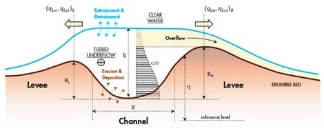 The illustration presents a representative concentration distribution and highlights the fraction of the sediment column that extends beyond the levee crest. Within the numerical framework, the cross-section is idealized as rectangular, with the principal flow direction oriented normal to the section [13].