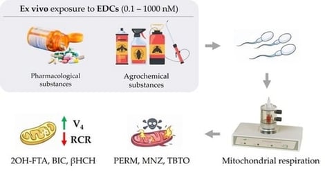 Establishment of the ex vivo model by exposing human sperm samples to increasing concentrations of the reference compounds nicotinamide adenine dinucleotide reduced (NADH) and carbonyl cyanide 4-chlorophenyl hydrazone (CCCP). (a) Respiratory control ratio (RCR), together with changes in (b) oxygen consumption during the active respiratory state (V3) and (c) oxygen consumption in the resting state (V4), were measured. Data are expressed as mean ± standard deviation (SD). Statistical analysis was performed using two-way analysis of variance (ANOVA) followed by Dunnett’s post hoc test. * p < 0.05, ** p < 0.005, *** p < 0.001 and **** p < 0.0001 versus control.