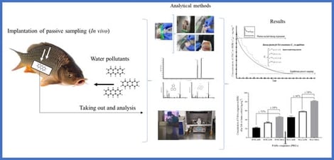 Single-compartment fish model for bioaccumulation and elimination of PAHs.