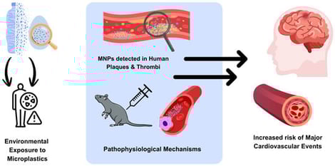 PRISMA 2020 flow diagram illustrating the study selection process for the systematic review.
