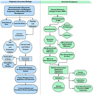 Comparative flowchart depicting comparative details of biopharmaceutical and biosimilar development.