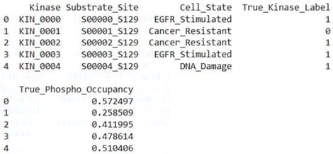 Loaded KSP Triads Data.