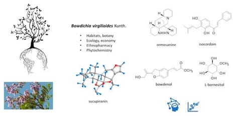 (a) Distribution of Bowdichia virgilioides in South America (https://powo.science.kew.org/taxon/urn:lsid:ipni.org:names:482144-1, accessed on 30 November 2025) and (b) illustrations of the tree, flowers and leaves (https://www.gbif.org/occurrence/gallery?taxon_key=2975476, accessed on 30 November 2025).