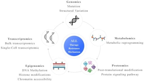 Multi-omics underlying therapy resistance in ALL. Genomic alterations, including gene mutations and structural variations, provide the genetic basis for resistance. Transcriptomic analyses, at both bulk and single-cell resolution, reveal heterogeneous gene expression programs and rare drug-tolerant cell states. Epigenomic changes, such as DNA methylation, histone modifications, and altered chromatin accessibility, enable transcriptional plasticity and adaptive responses to therapeutic pressure. Proteomic profiling captures post-translational modifications and rewired signaling pathways that directly mediate survival and drug insensitivity. Metabolomic reprogramming reflects adaptive changes in cellular metabolism that support energy homeostasis and stress tolerance during treatment. Integration of these multi-omics layers converges on a comprehensive understanding of ALL therapy resistance, highlighting interconnected molecular mechanisms and potential therapeutic vulnerabilities.