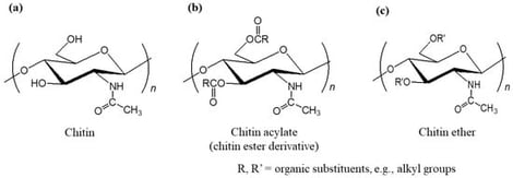 Chemical structures of (a) chitin, (b) chitin acylate (chitin ester derivative), and (c) chitin ether.