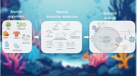 Overview of anti-HIV modes of action from marine bioactive compounds. Numbers represent the mechanisms of action (RT, HIV reverse transcriptase; IN, HIV integrase; PR, HIV protease). Created in BioRender. Nogueira, P. (2025) https://BioRender.com (accessed on 17 January 2026).