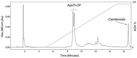 RPC profile of Ti-CP dissociation. RPC profile showing the separation of the apoprotein (ApoTi-CP) and the carotenoid moiety after dissociation of the native carotenoprotein (Ti-CP). Elution was carried out using a linear gradient of organic solvent, and chromatographic profiles were monitored by UV absorbance. The early-eluting peak corresponds to the apoprotein fraction (ApoTi-CP), reflecting its lower hydrophobicity, whereas the late-eluting peak corresponds to the hydrophobic carotenoid fraction released from the native complex.