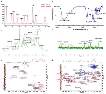 Preliminary structural analysis of GRB-H. (a) Monosaccharide composition. (b) FTIR spectrum. (c,d) 1H and 13C NMR spectra. (e,f) HSQC NMR spectra.