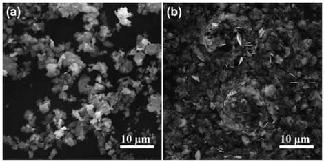 SEM images of flaky Ag powder: (a) flaky Ag powder L, (b) flaky Ag powder H.