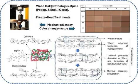 Dimensions of experimental specimens (a) for quasi-static bending experiments in the TL plane (b).