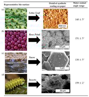 Illustrative examples of biomimicry in creating water-repellent paper coatings with hierarchical surface structures based on (a) vegetable-oil nanocapsules [16], (b) polyhydroxybutyrate particles [17], (c) intercalated kaolinite clay [18], and (d) biowax precipitation [19].
